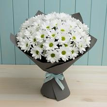 Букет цветов из:  Хризантемы в Новочебоксарске