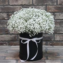 Цветочная композиция из Гипсофила в шляпной коробке в Новочебоксарске
